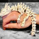 Articulated Skeleton Dragon